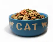 Alimentos Para Gatos e Cães (5)